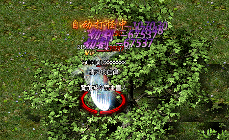 新开传奇网站