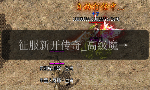征服新开传奇_高级魔法盾技能解析与策略
