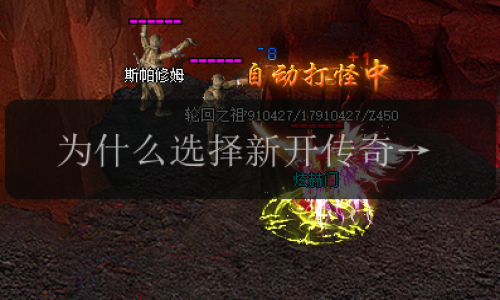 为什么选择新开传奇私服_解密捐献的秘密!