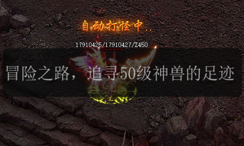 冒险之路，追寻50级神兽的足迹