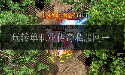 玩转单职业传奇私服网站_评测、装备选择和玩法指南